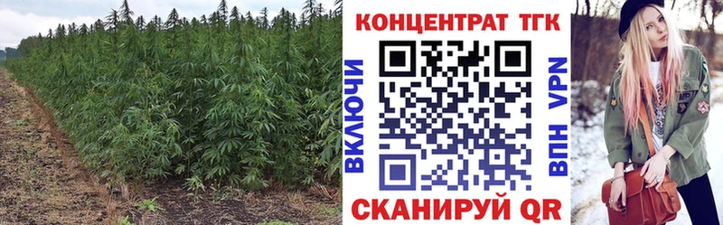 где найти наркотики  MEGA ссылки  ТГК концентрат  Уфа 