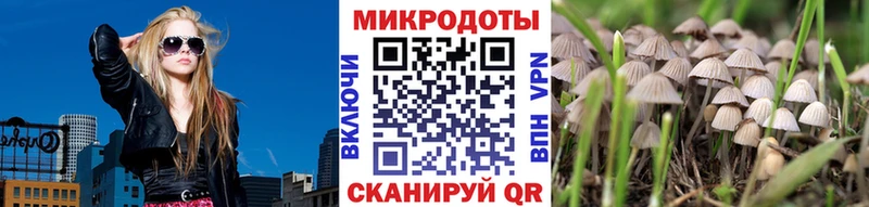 Псилоцибиновые грибы GOLDEN TEACHER  OMG онион  Уфа 